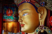 Buddha, Buddhism, India, Jammu and Kashmir, Ladakh, religion, T91-1212663, AGEFOTOSTOCK