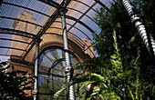 Umbracle by Fontserè, Parc Ciutadella, Barcelona, Catalonia, Spain