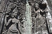 Angkor (Cambodia): apsara at the Bayon