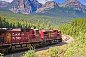 Freight train of the Canadian Pacific Railway at Morant's Curve in the Banff National Park, Alberta, Canada