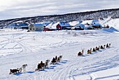 Norway, Finnmark, Kautokeino, Reindeer sledges