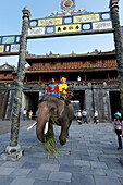 Touristen reiten auf Elefanten, Zitadelle, Hue, Trung Bo, Vietnam
