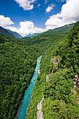 View from Tara bridge onto Tara Valley and River, Montenegro, Europe