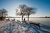 Snowy riverbank at frozen Aussenalster, winter impressions, Hamburg, Germany, Europe