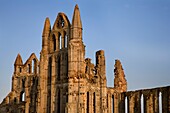 Whitby Abbey Bathed In Soft Summer Evening Light Whitby North Yorkshire England