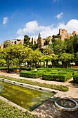Jardines Alcalde Pedro Ruiz Alonso and the Alcazaba Malaga Spain