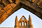 Whitby Abbey Whitby Yorkshire England