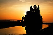 Whitby Abbey Whitby Yorkshire England