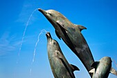 Cardigan Bay Dolphins Statue at Barmouth Snowdonia Wales