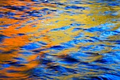 Autumn Reflections in The Wharfe Strid Wood Wharfedale Yorkshire England