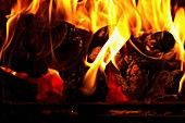 Burning logs silhouetted against flames in a hearth
