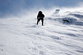 A winter hiker ascends the Air Line Trail in extreme weather conditions during the winter months in the White Mountains, New Hampshire USA