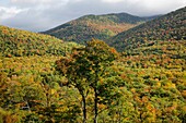 Crawford Notch State Park - Scenic views from Frankenstein Trestle during the autumn months Located in the White Mountains, New Hampshire USA