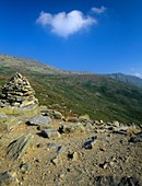 Lion Head Trail in the scenic landscape of the alpine zone, which is located in the White Mountain National Forest of New Hampshire USA This trail is located on the eastern slopes of Mount Washington