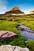 Waterfalls and wildflowers at Hanging Garden at Logan Pass, Glacier National Park, Montana