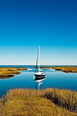 Sailboat anchored in salt marsh, Wharf Lane, Yarmouthport, Cape Cod, MA, Massachusetts