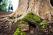 The Nounou Mountain hiking trail is one of the most famous in Kauai It is also known as the sleeping giant An unkown hiker created a miniature Easter scene of the cross and grave of Jesus