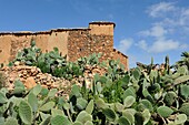 traditional barn-fortress for crop harvesting, Tallate, Anti-Atlas, Morocco, North Africa