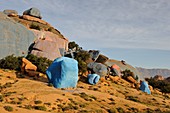 Painting Rocks site, work of the Belgian artist Jean Verame around Tafraout, Anti-Atlas, Morocco, North Africa