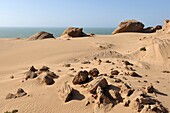 dunes around Tamri on Atlantic Coast, between Agadir and Essaouira, Morocco, North Africa
