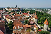 the Old Town seen from the tower of St Olav'church, Tallinn, estonia, northern europe