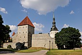 fortifications tower and Niguliste church, Tallinn, estonia, northern europe