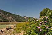 Saguenay National Park, Baie Sainte-Marguerite, Province of Quebec, Canada, North America