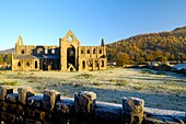 The ruins of Tintern Abbey on a frosty winter's morning Tintern, Monmouthshire, South Wales, United Kingdom