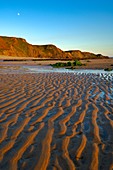 Ripples left by the retreating tide at Sandymouth, Cornwall England