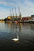 Cranes on Princes Wharf at the Floating Harbour, Bristol, England, United Kingdom