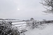 A winter landscape after overnight snow near Wrington, Somerset, England, United Kingdom