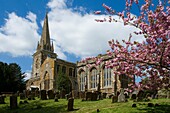 The church at West Adderbury in the Cotswolds, Oxfordshire, UK with cherry blossom