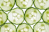 thin slices of cucumber lit from behind, edges touching making a tiled pattern
