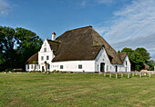 Roter Haubarg in Witzwort, Typical farmhouse on the northwestcoast of Germany, near Husum, Schleswig-Holstein, Germany