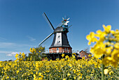 Windmill in Borgsum, North Sea Island Foehr, Schleswig-Holstein, Germany