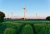 Windpark bei Mildstedt, Schleswig-Holstein, Deutschland