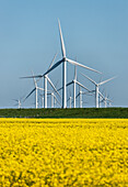 Windpark at Bredstedt, Schleswig-Holstein, Germany