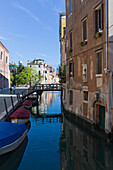 Houses alongside a canal, Venice, Veneto, Italy, Europe