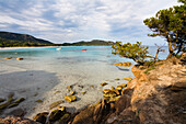 Beach of Palombaggia, sout-east coast, Corsica, France, Europe