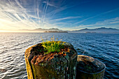 Morning mood in Gstadt with a view on Fraueninsel, Chiemsee, Chiemgau, Upper Bavaria, Bavaria, Germany