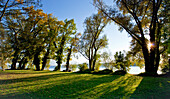 Afternoon  light on the west side of the Fraueninsel, Chiemsee, Chiemgau, Upper Bavaria, Bavaria, Germnay
