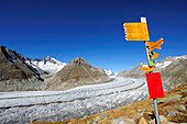 Signpost above glacier Grosser Aletschgletscher with Aletschhorn, Grosser Aletschgletscher, UNESCO World Heritage Site Swiss Alps Jungfrau - Aletsch, Bernese Alps, Valais, Switzerland, Europe