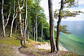 Kreidefelsen, Insel Rügen, Jasmund Nationalpark, Mecklenburg-Vorpommern, Deutschland, Europa