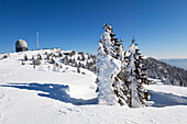 Verschneite Fichten, Grosser Arber Gipfel mit Radom des Observatoriums, Bayerischer Wald, Bayerisch Eisenstein, Niederbayern, Deutschland, Europa