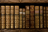 Bücher in der Stiftsbibliothek im Kloster Waldsassen, eine Abtei der Zisterzienserinnen in Waldsassen, Oberpfalz, Bayern, Deutschland, Europa