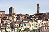 Siena, Tuscany, Italy