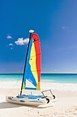 catamaran, Maxwell Beach, Barbados, Caribbean