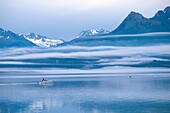 Mist surrounding Chugach mountains, boats on Prince William sound near Valdez, Alaska
