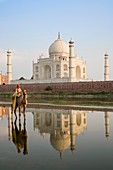 Taj Mahal with a young boy riding a camel as seen from across the Yamuna River in Agra India The Mughal Emperor Shah Jahan commissioned it as a mausoleum for his favorite wife, Mumtaz Mahal Construction began in 1632 and was completed in approximately 1