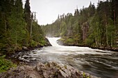 Jyrävä waterfall, Kitkajoki river, Pieni Karhunkierros day trail, National Park of Oulanka, Kuusamo, Finland